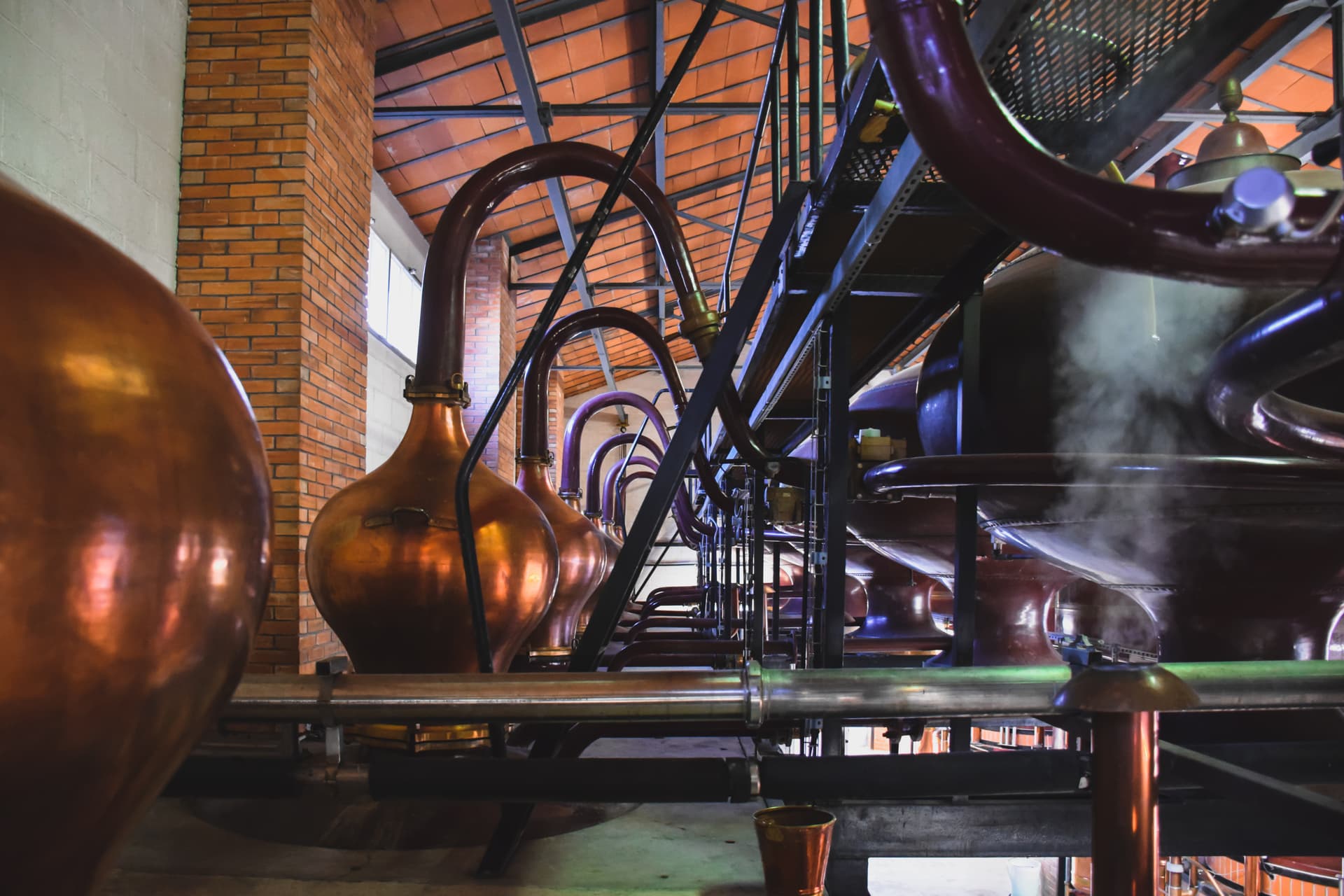 Cognac Craft & Taste: Distillery Tour & Tasting
