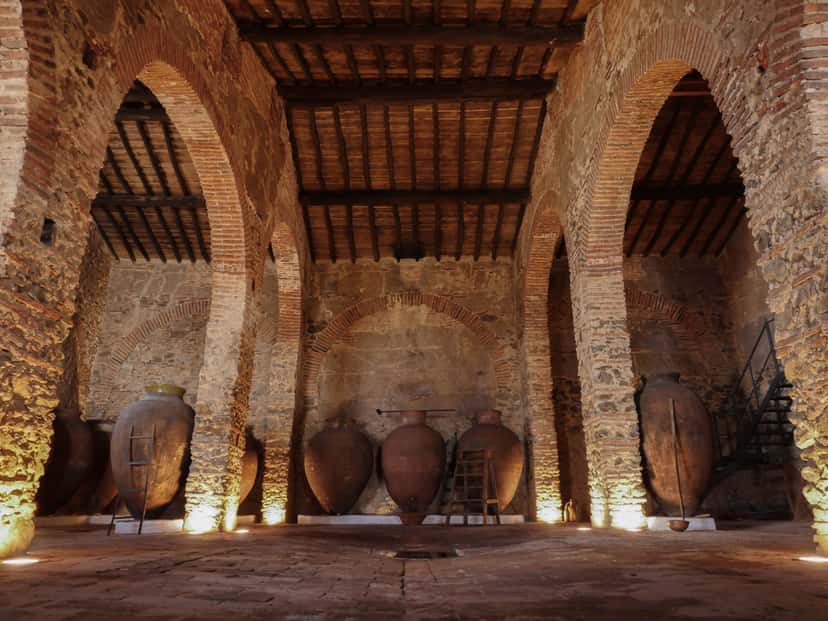 Cella Vinaria Antiqua by Honrado Vineyards