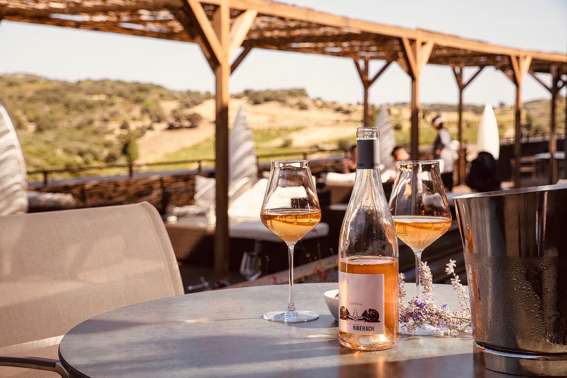Weinsafari im Domaine Riberach