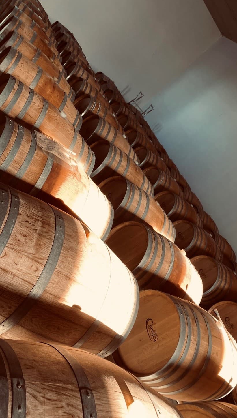 Weinprobe und Tour in der Azienda Vitivinicola Tola