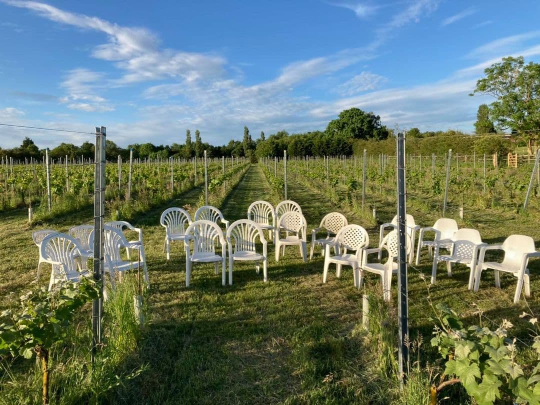 Dégustation de vins et visite du domaine viticole Hanwell