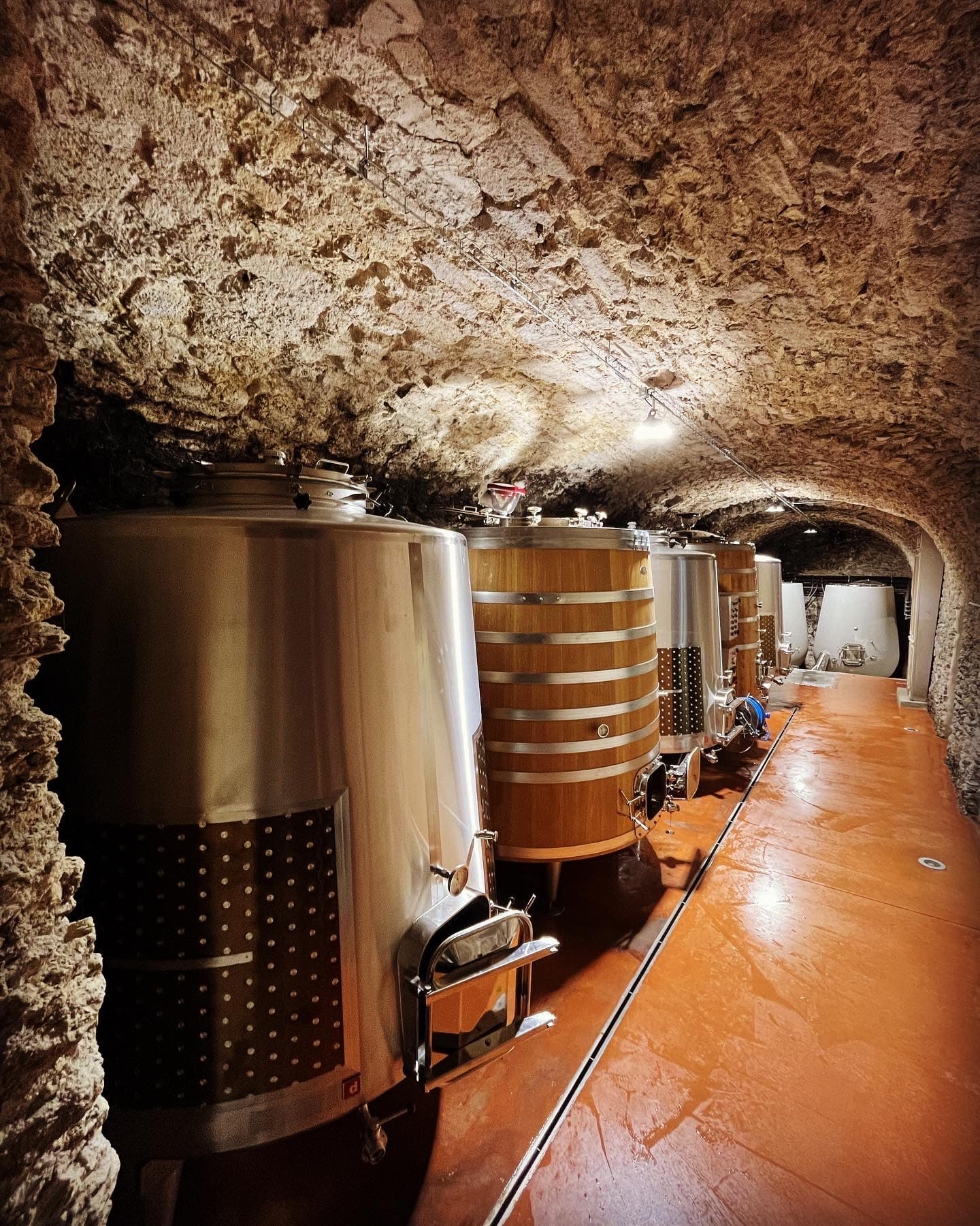 Domaine Mayard photo 2