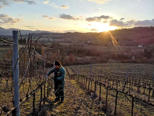Poggio Maiolo