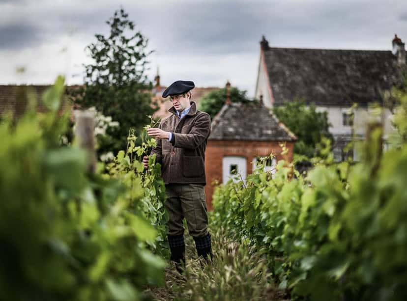 Den vackra flykten på Armand Heitz