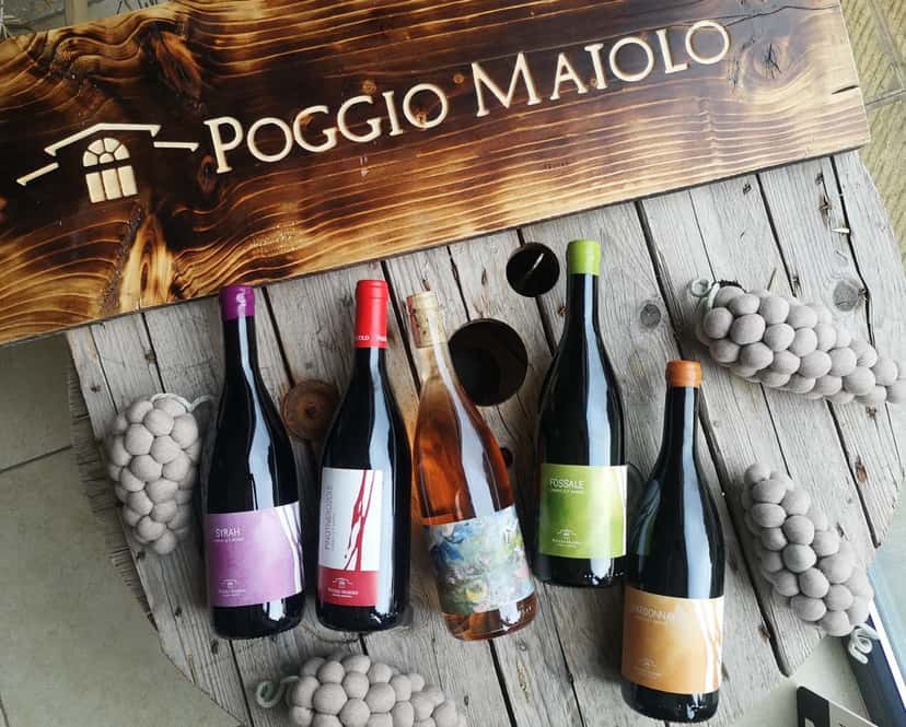 Vinprovningsupplevelse på Poggio Maiolo