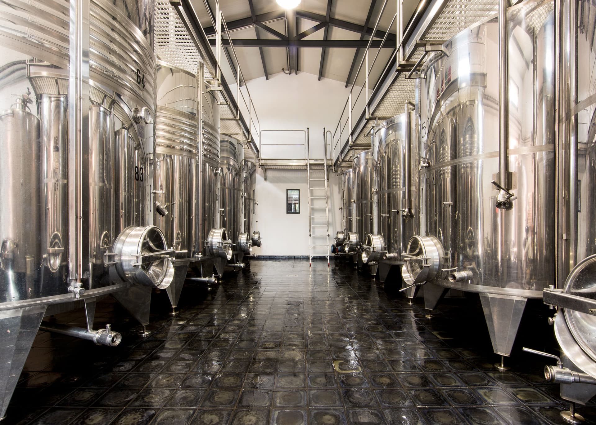 Collemattoni Winery photo 3