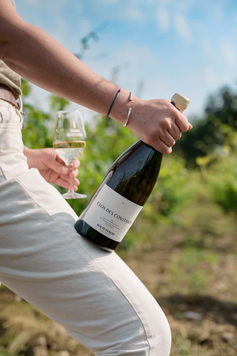 Tour e degustazione di vini al Domaine Haute Perche
