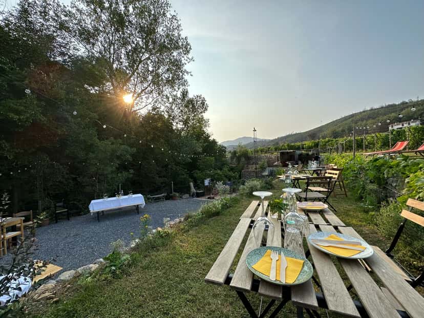 OpenVigna & Wine Tasting | Azienda Agricola Dell’Erba