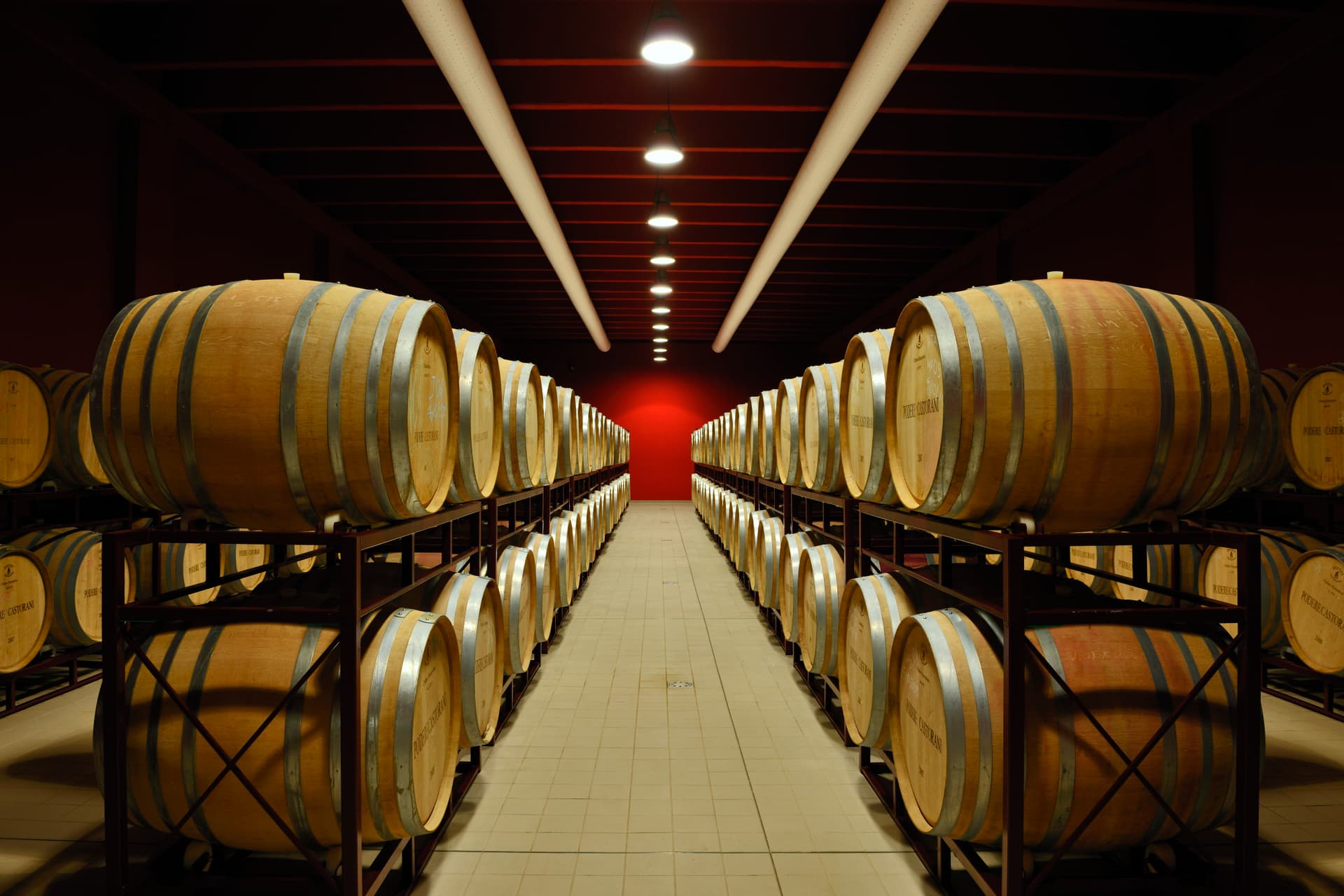 Degustação de vinhos premium e experiência de almoço no Castorani
