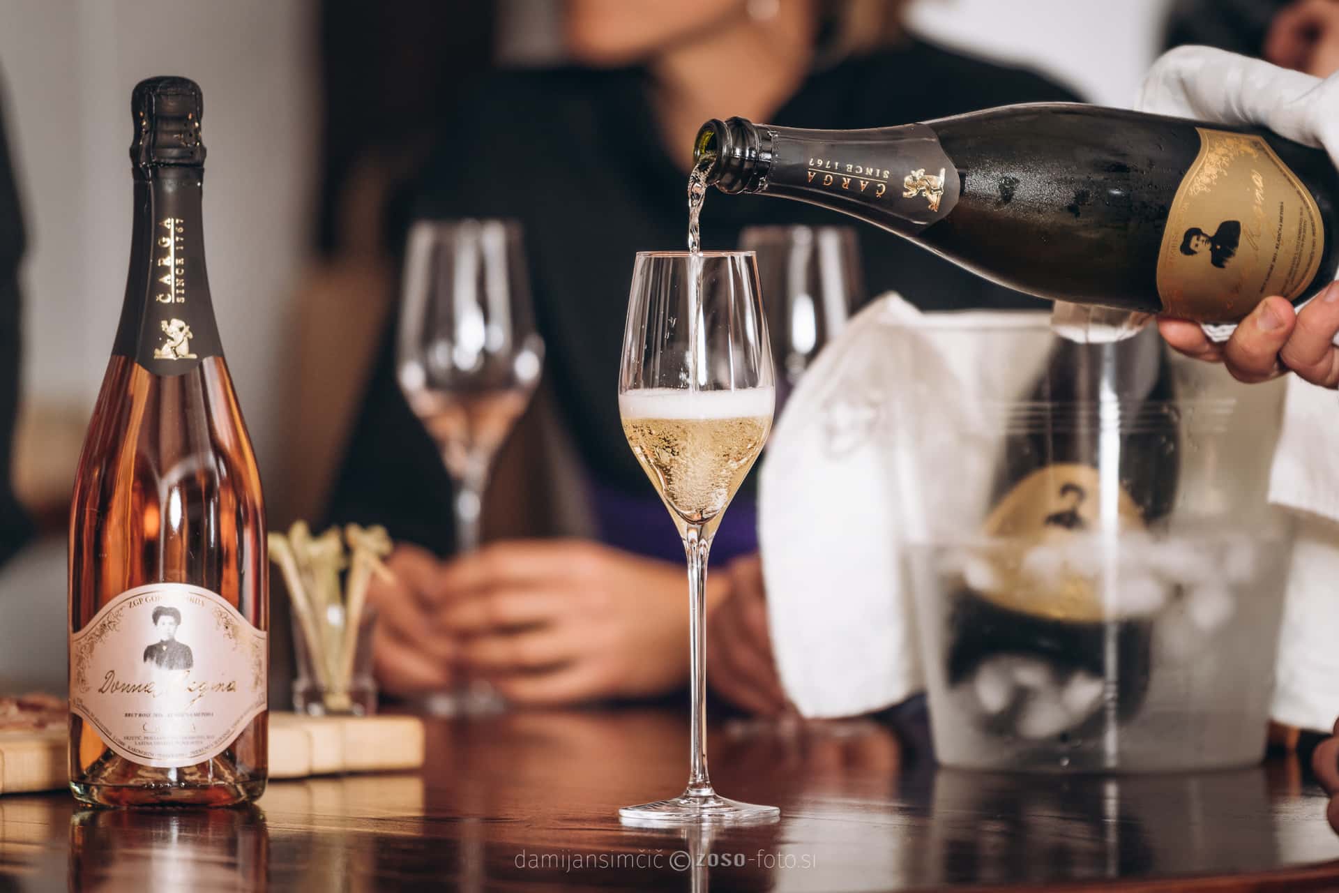 Degustação de vinhos e tour na vinícola Čarga