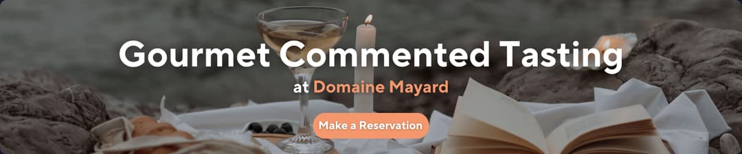 Gourmet-Verkostung an der Rhône