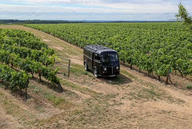Visita de cata y maestría en Domaine Bourgoin Cognac