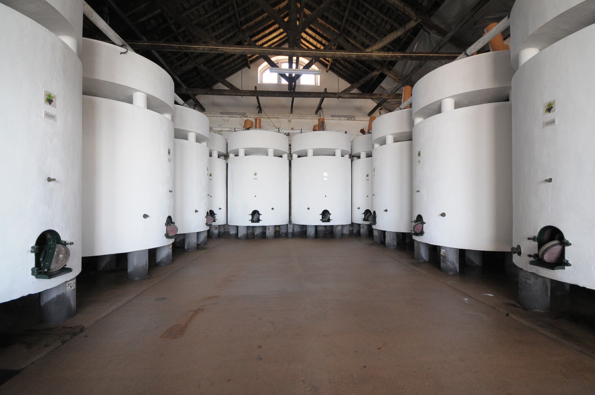 Dégustation de terroir à Quinta Do Piloto