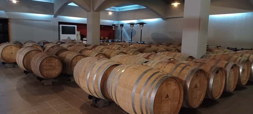 Tour di un giorno Palazzo di Cnosso di Heraklion - Degustazione di vino e olio d'oliva - Lezione di cucina con esperienza enologica