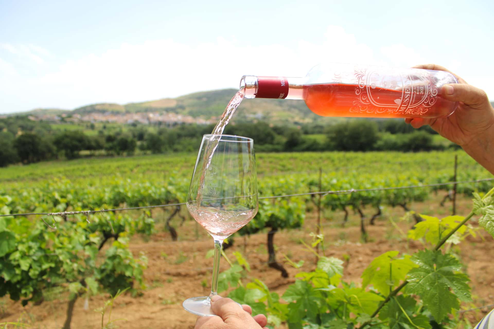 Uma degustação de vinhos muito típica no coração da Sardenha |…