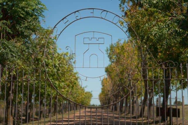 Canelones Wine Legacy Tour & Tasting at Castillo Viejo