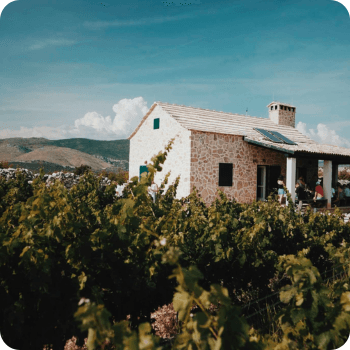 Kairos Vina