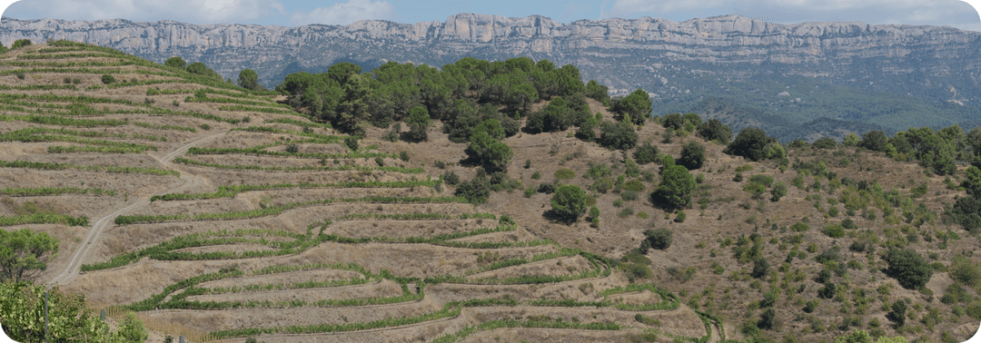 Priorat