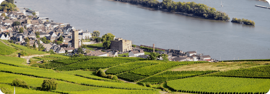 Rheingau