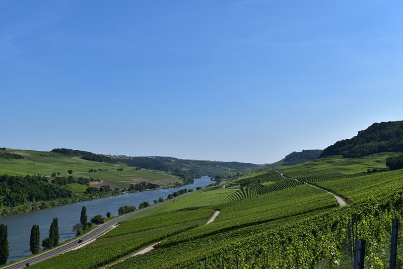 Degustação de vinhos populares na vinícola Schlink Domaine Viticole