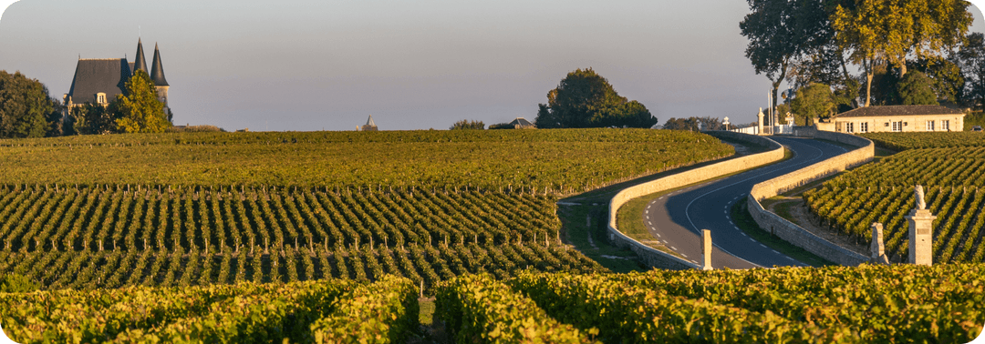 Bodeaux Vineyards