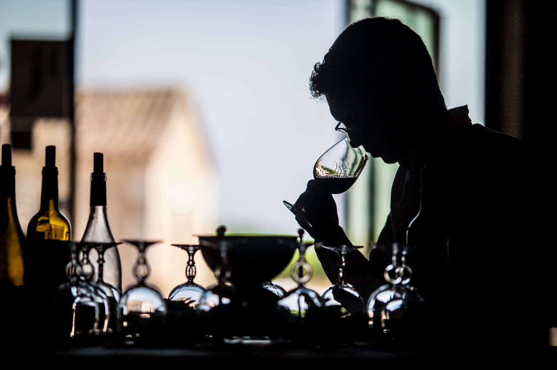 Malbec Magic: South West France Wine Journey