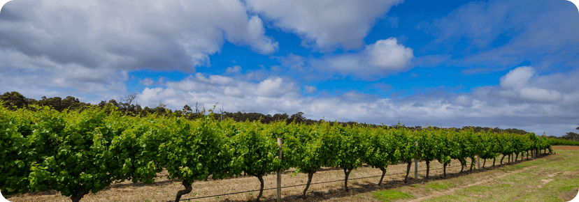 Margaret River wine city