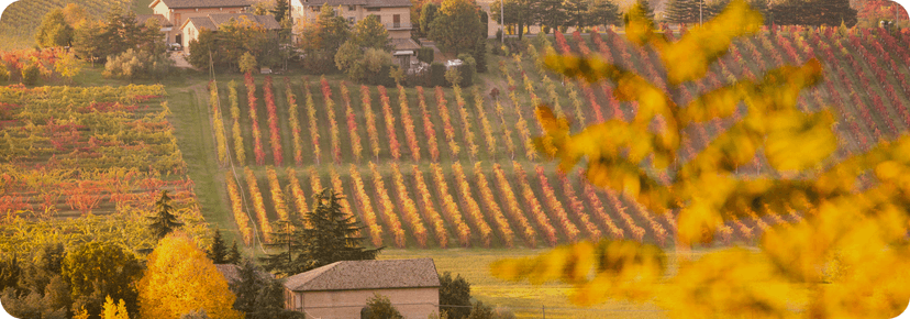 Wineries Near Modena