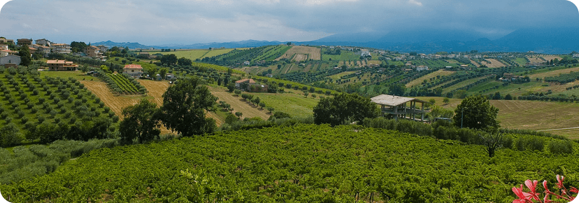 Vinícolas perto de Téramo