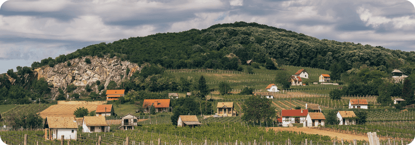 Villány wine city