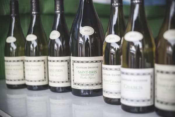 Degustação de Chablis no Domaine Clotilde Davenne em inglês