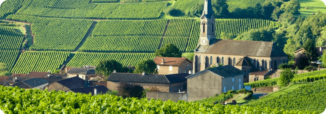 Région viticole de Bourgogne