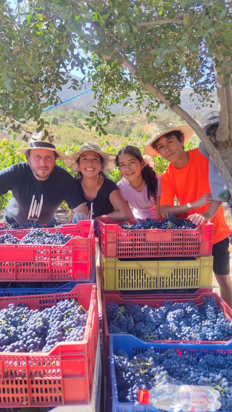 Aconcagua Vineyard-Garden: Wine, Terroir & Family