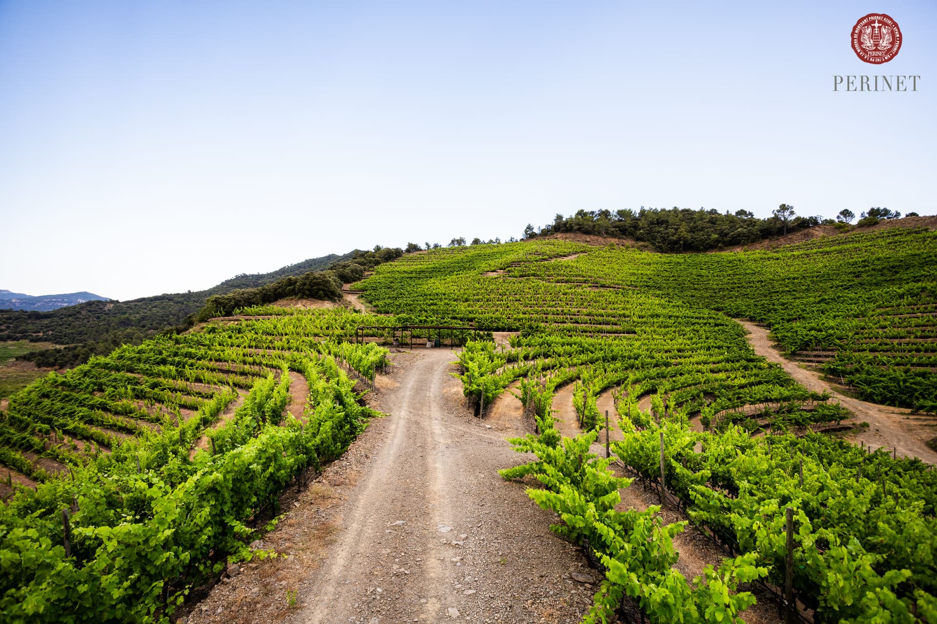 Perinet Winery foto 4