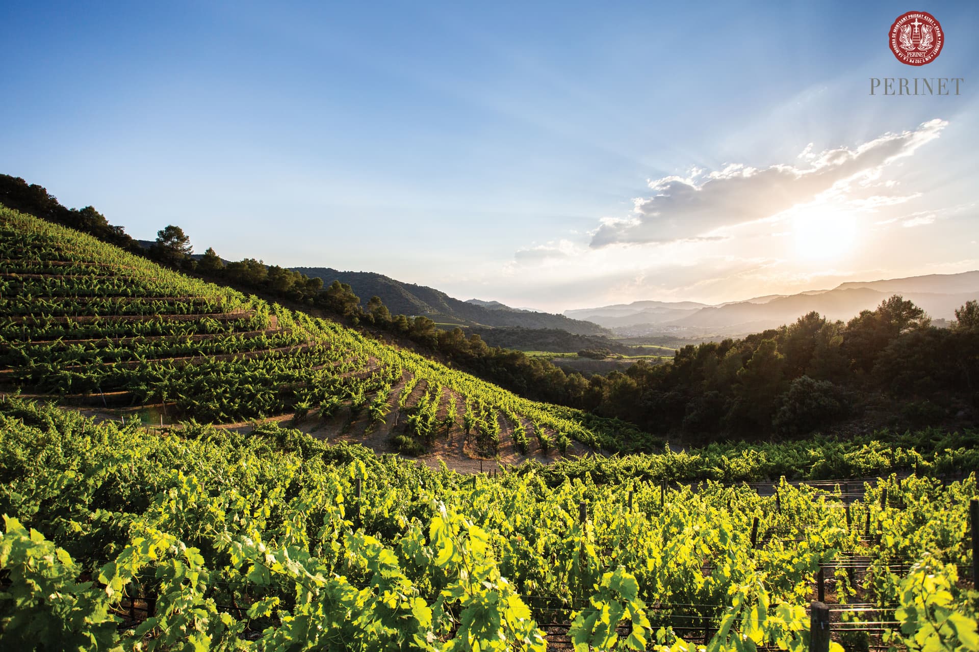 Perinet Winery foto 5