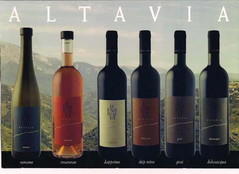 Degustazione Vini ad Altavia