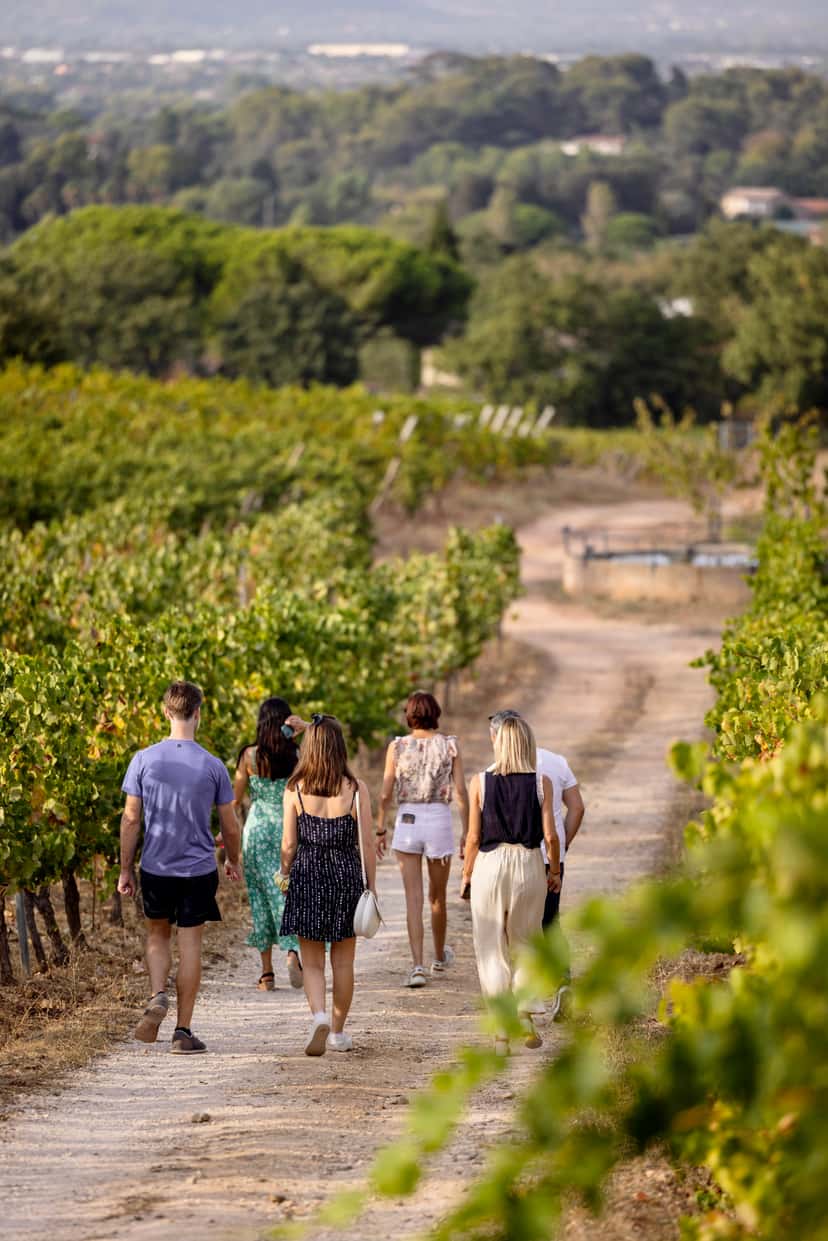 Tour dei vigneti "Oenoludique"