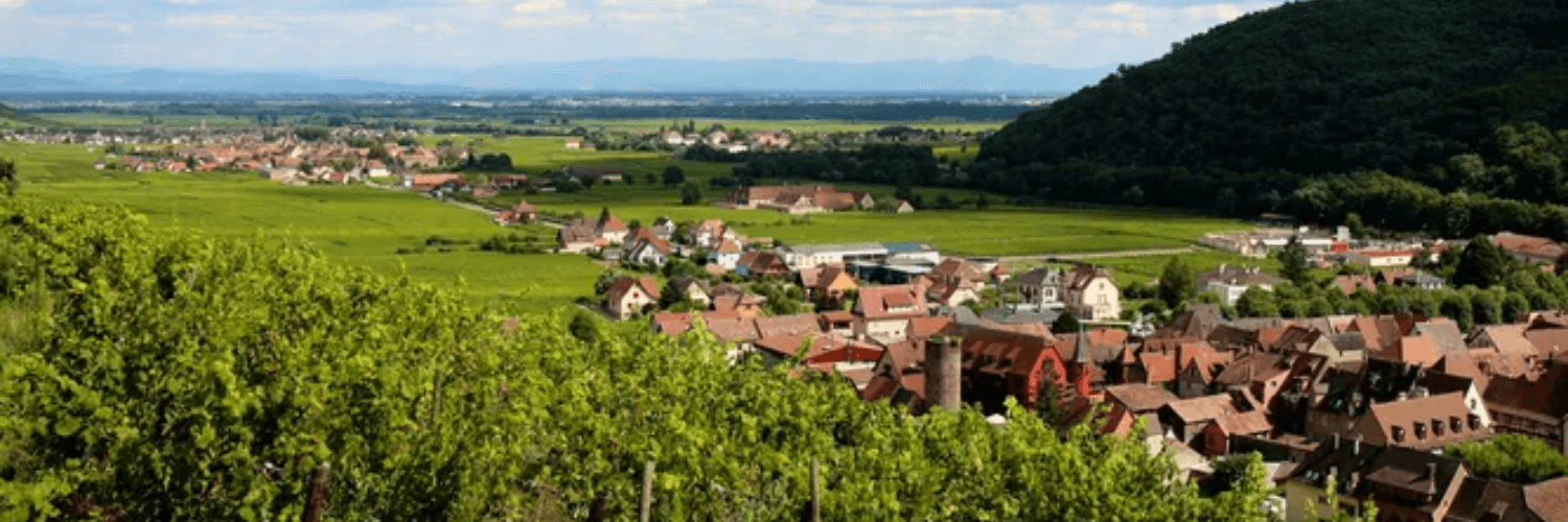 Domaine Jean-Louis Schoepfer foto 1