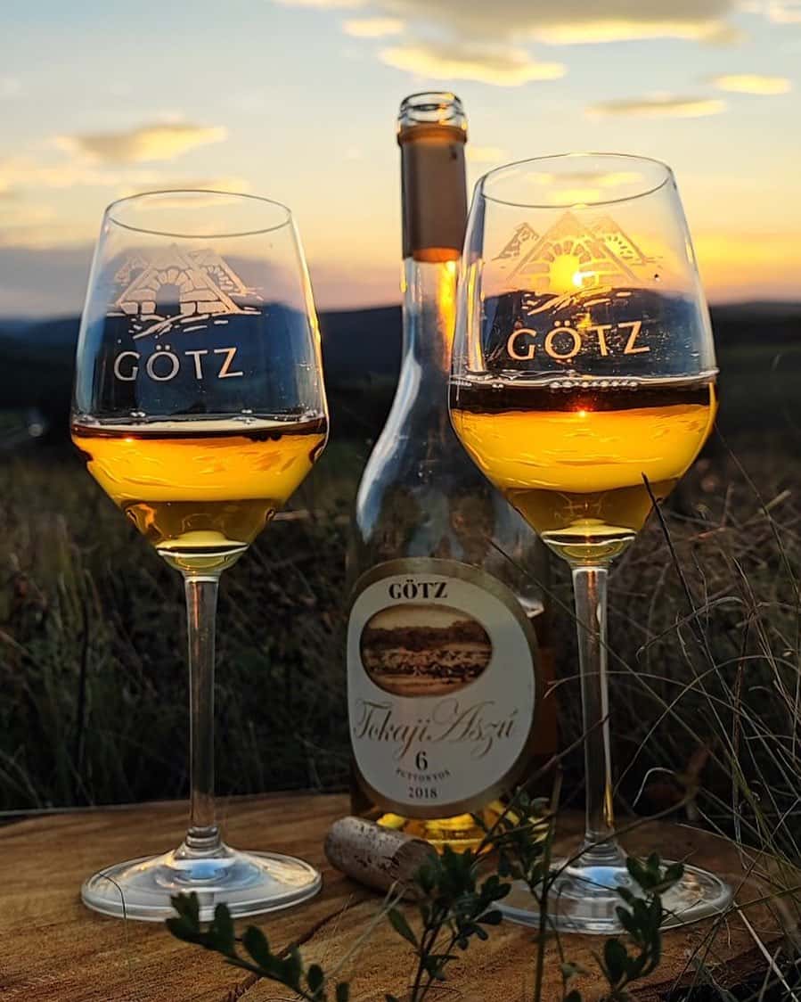 Vinprovning på Gotz Winery