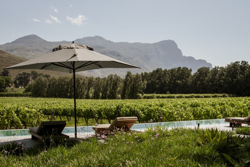 Wineries Near Franschhoek