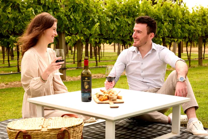 Barossa Bliss: Jacob's Creek Picnic & Tasting