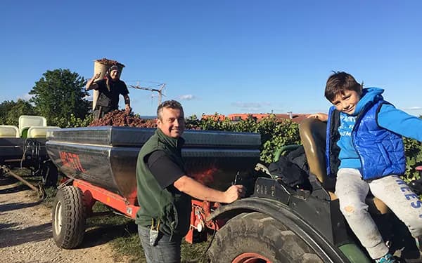 Vinprovning och rundtur på Domaine Jean-Louis Schoepfer