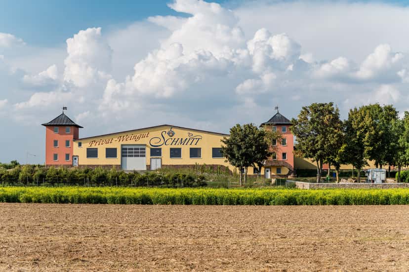 Weingut Schmitt Bergtheim