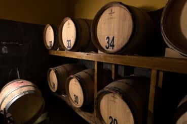 Amantes do vinho na Cantina Le Macchie