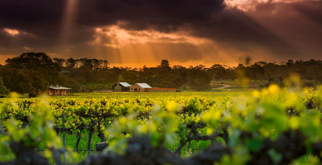 St Hugo Winery