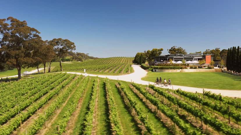 'A Taste of Hahndorf' Gourmet Food & Wine E-Bike Tour