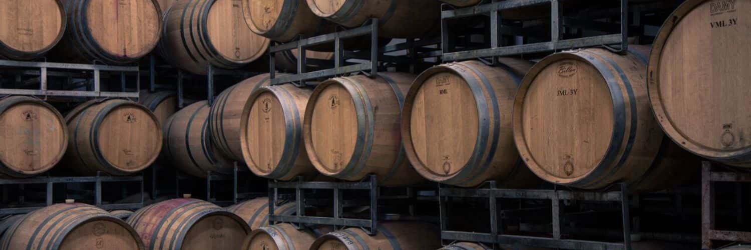 Cata de vinos y visita a Bodega Caelum