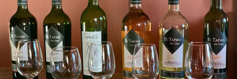 Wine Tasting and Tour at Bodega El Cese