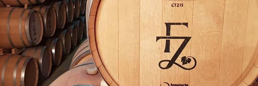 Wine Tasting at Bodega El Cese