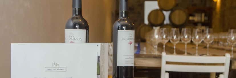 Weinprobe und Tour in der Bodega Familia Cassone
